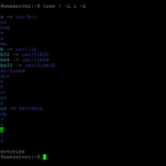 Filesystem Structure in Ubuntu