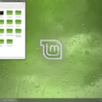 Créer un système virtuel pour Linux Mint en utilisant VMware